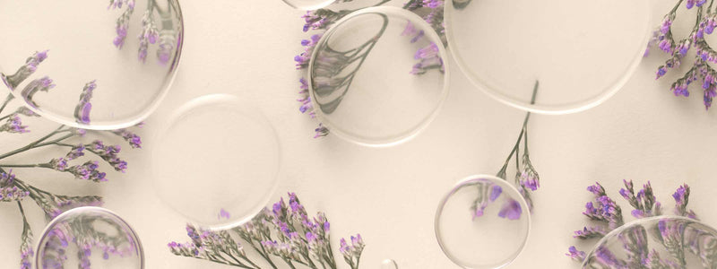 Bakuchiol vs. Retinol: The Ultimate Guide for Acne, Sensitivity, and Anti-Aging