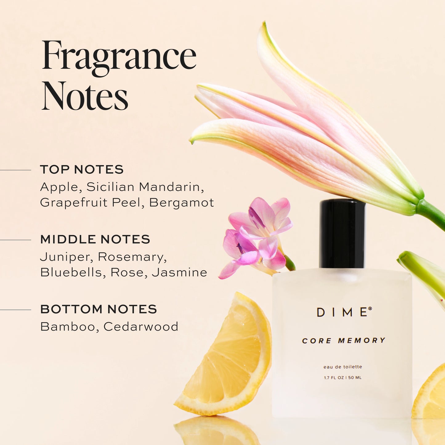 Fragrance notes