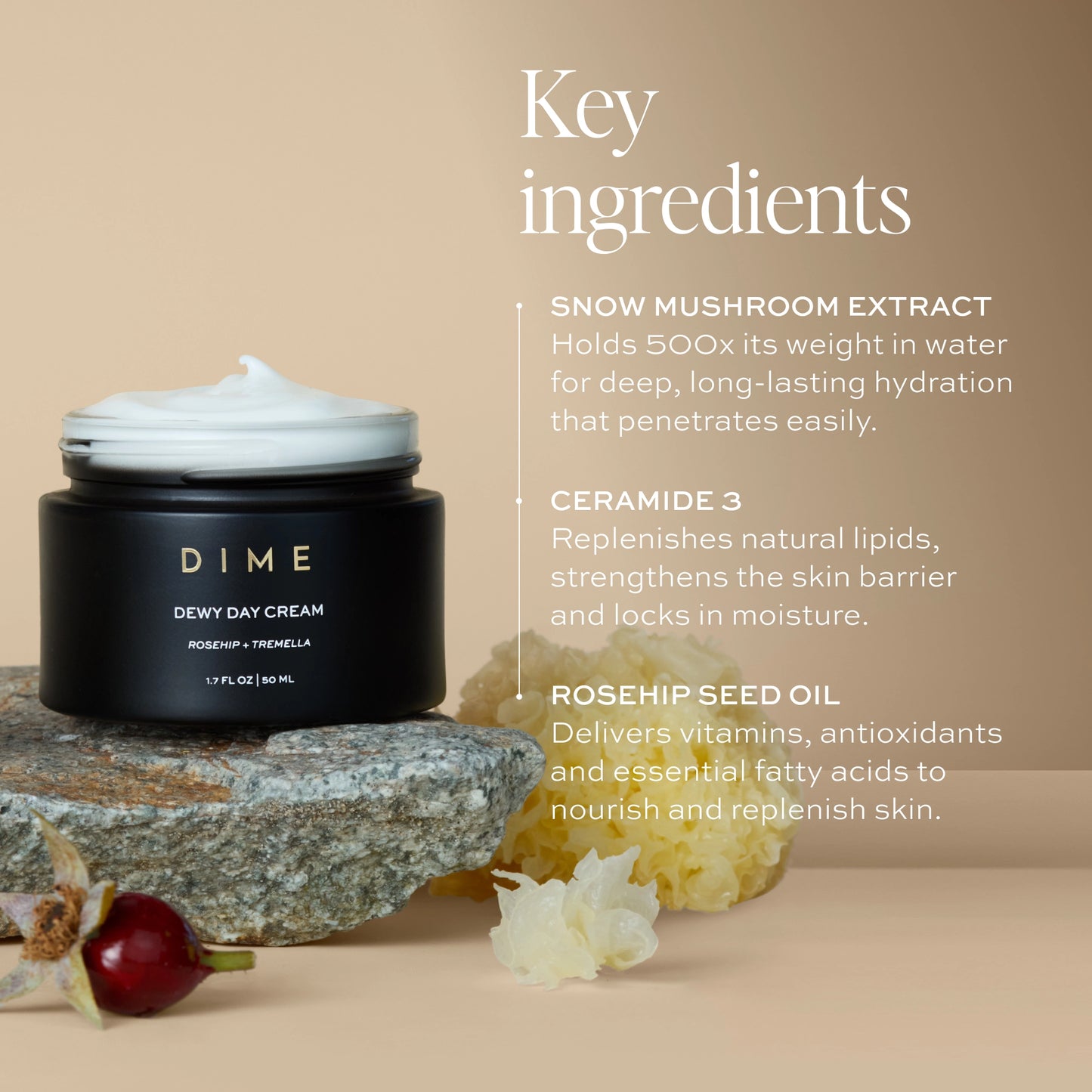 Dewy Day Cream