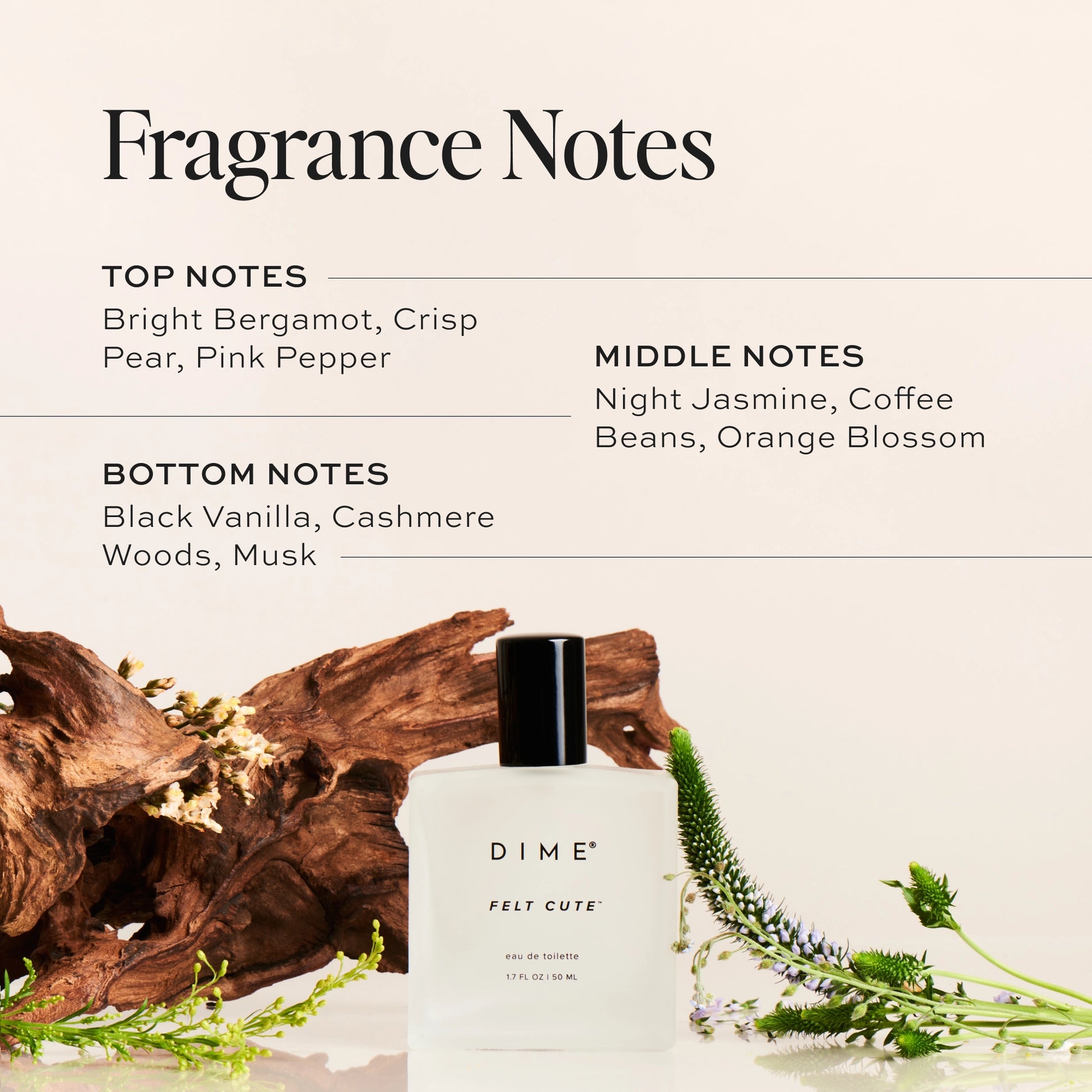 Fragrance Notes
