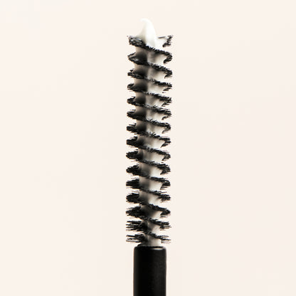 Lash primer
