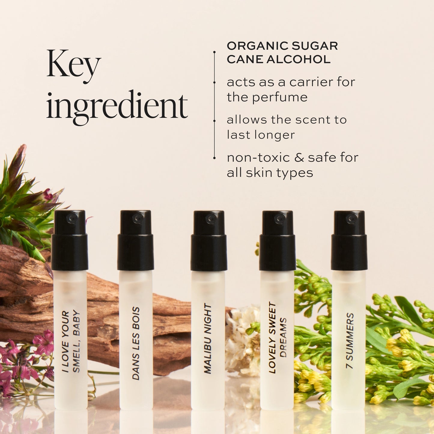 Best-Sellers Perfume Sample Kit