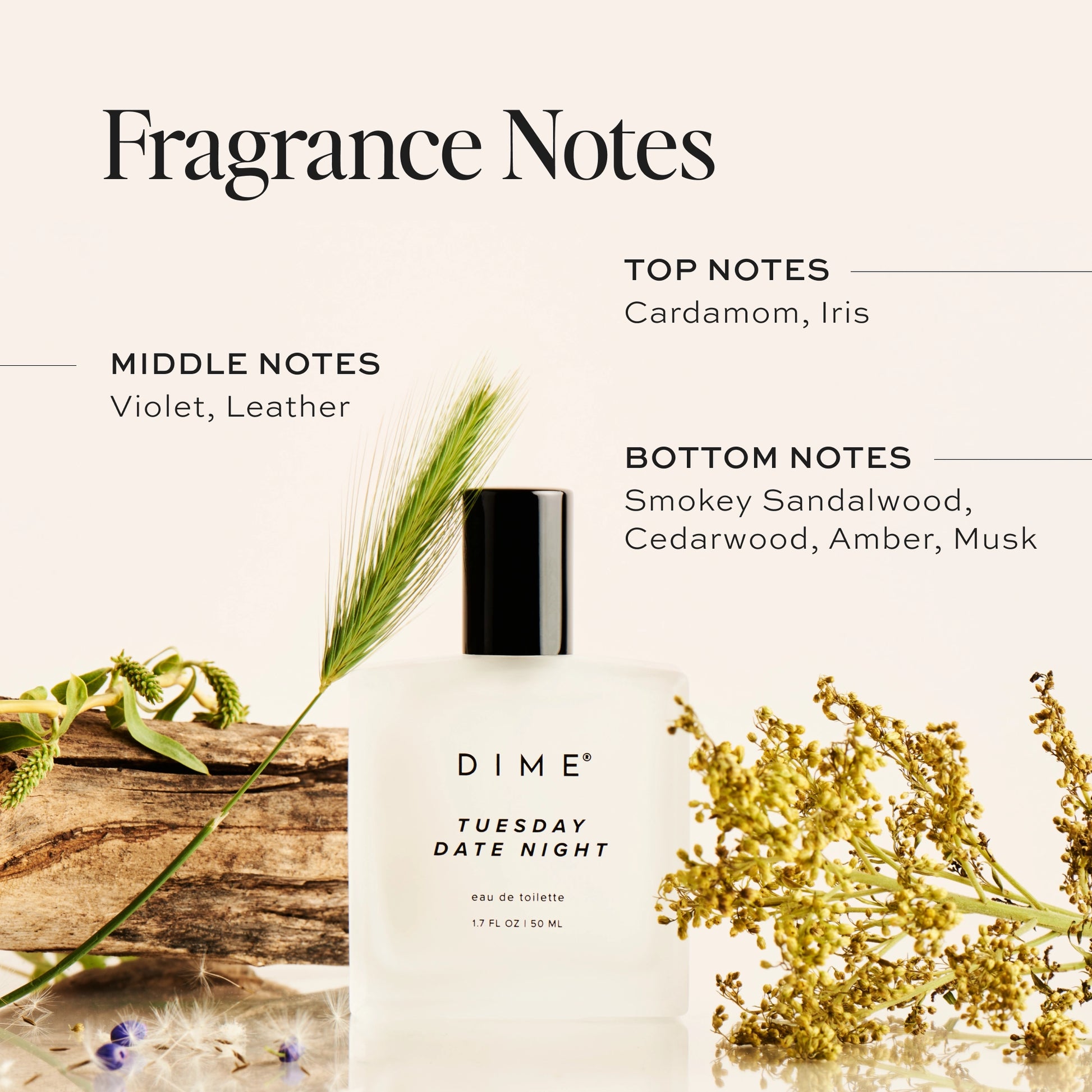 tuesday date night fragrance notes